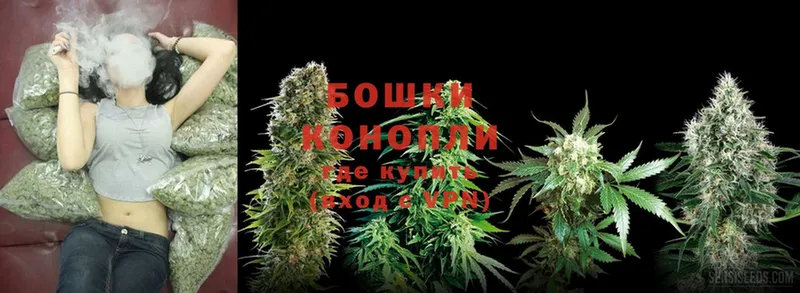 сколько стоит  Казань  МАРИХУАНА SATIVA & INDICA 